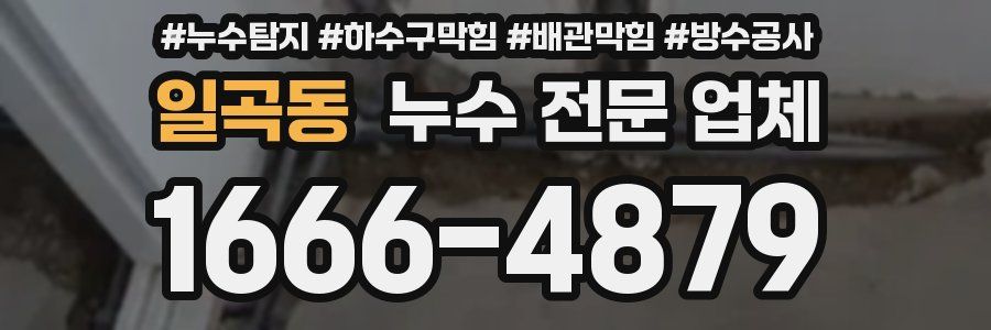 일곡동 누수 전문 업체