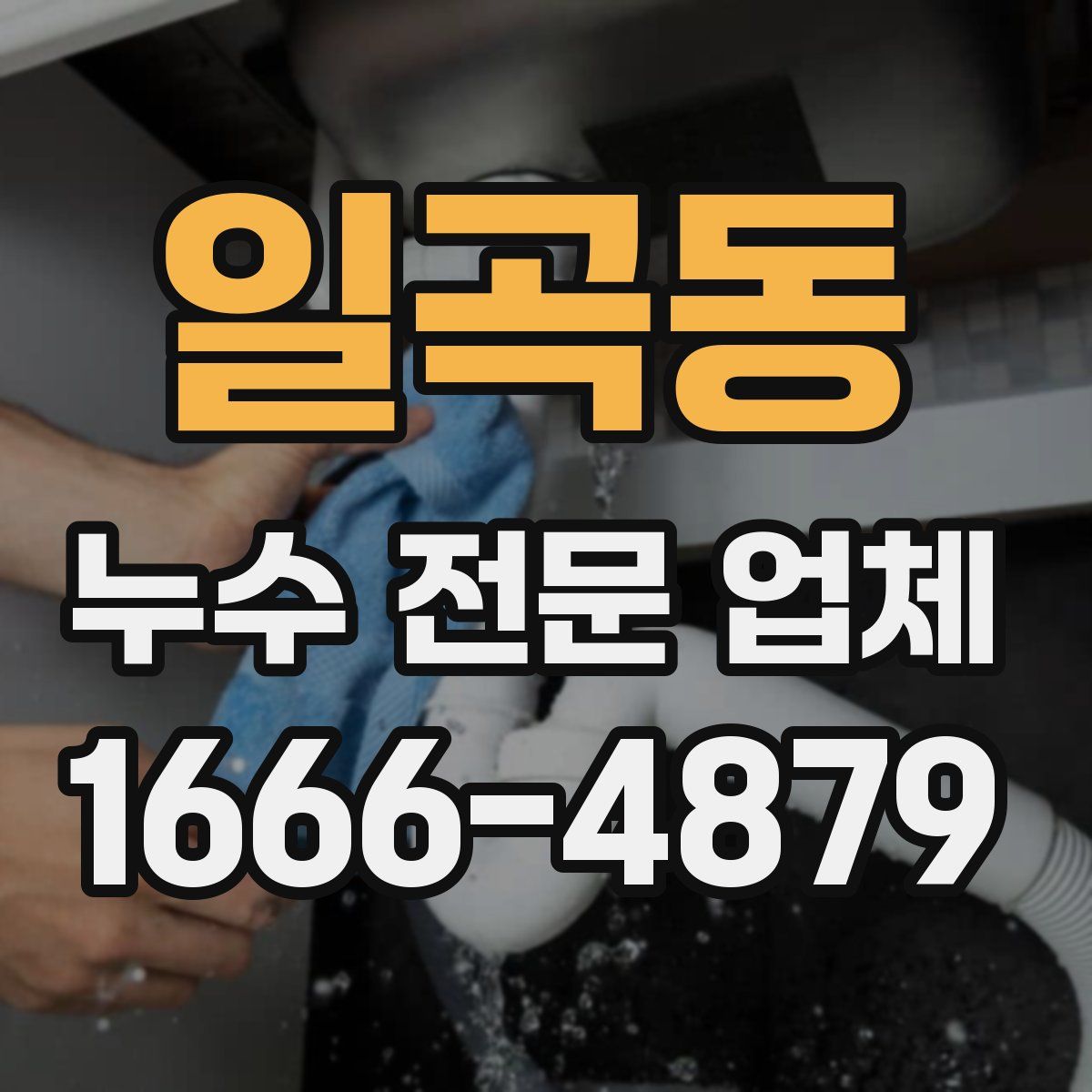 일곡동 누수 전문 업체