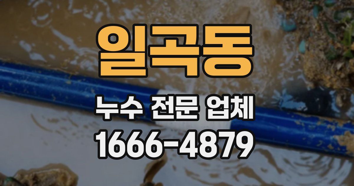 일곡동 누수 전문 업체