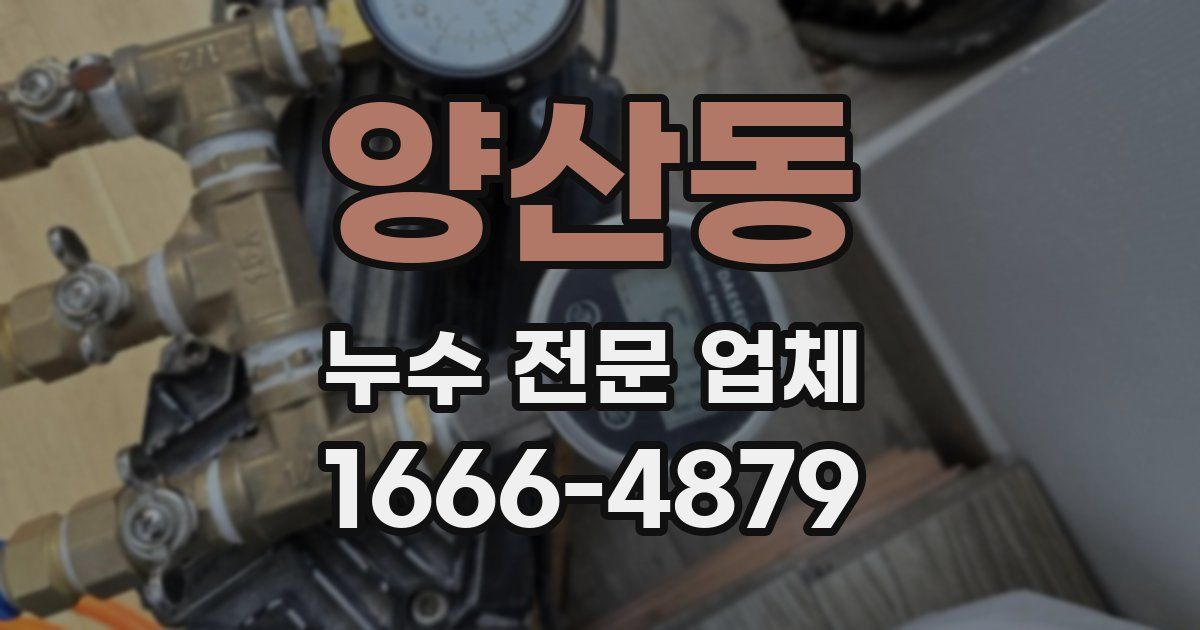 양산동 누수 전문 업체