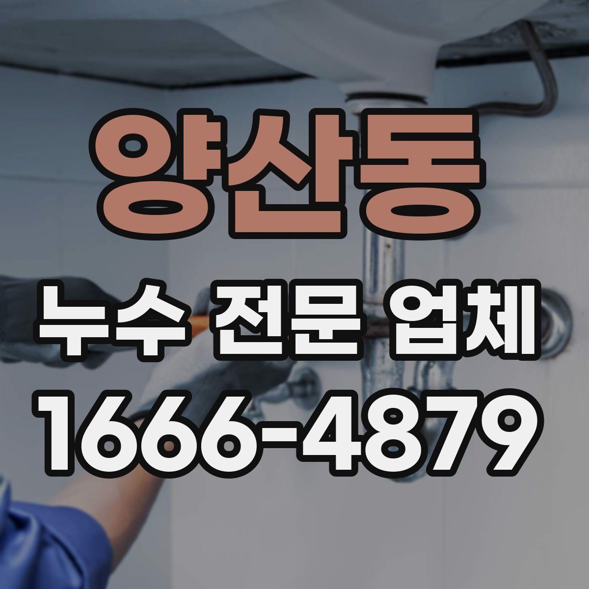 양산동 누수 전문 업체