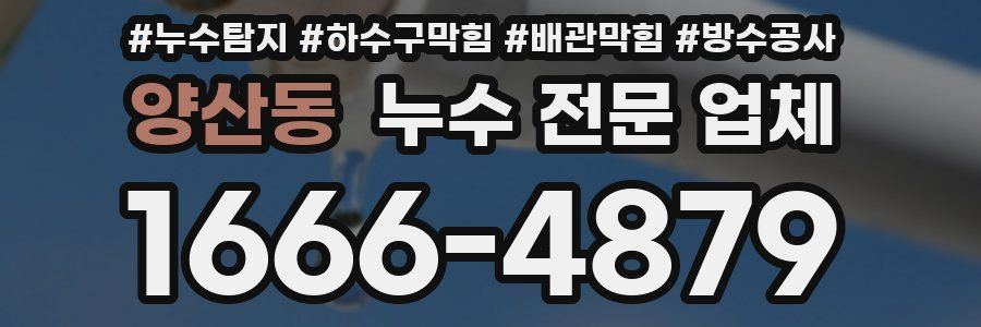 양산동 누수 전문 업체