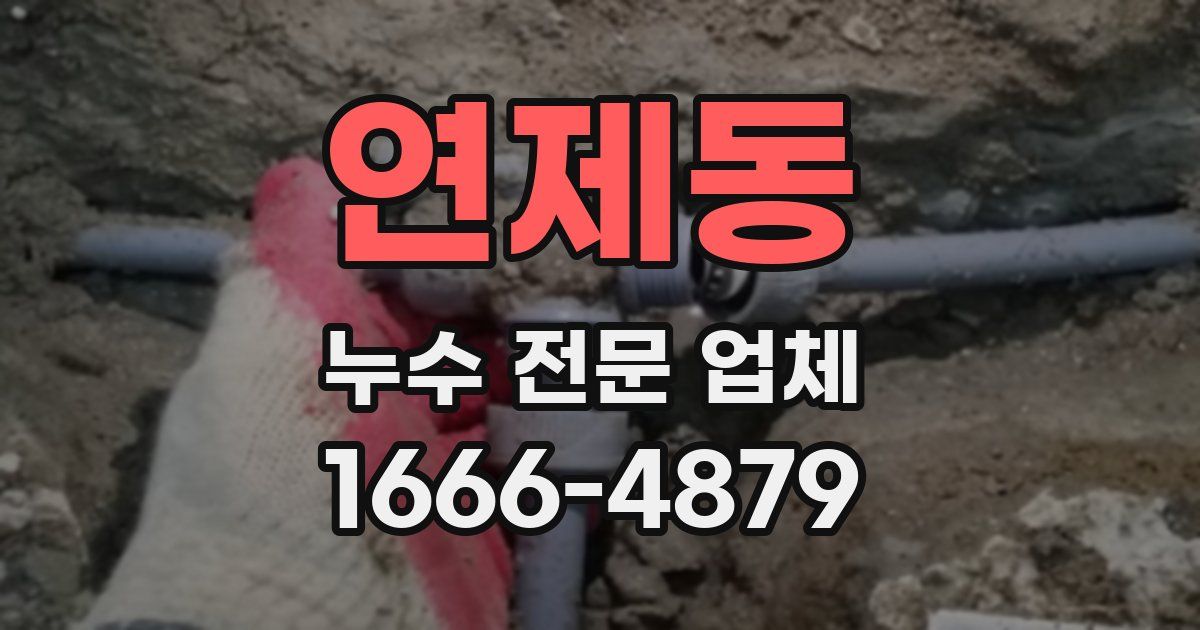 연제동 누수 전문 업체
