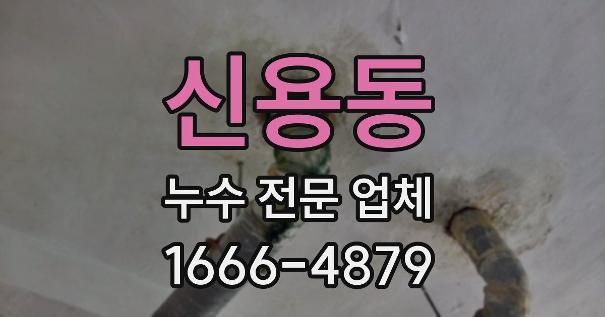 신용동 누수 전문 업체