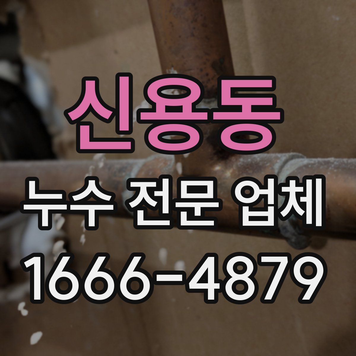 신용동 누수 전문 업체
