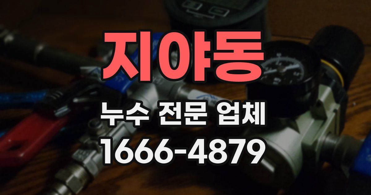 지야동 누수 전문 업체