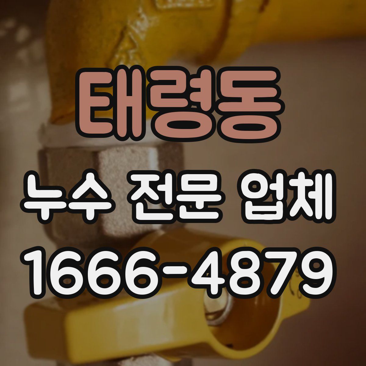 태령동 누수 전문 업체