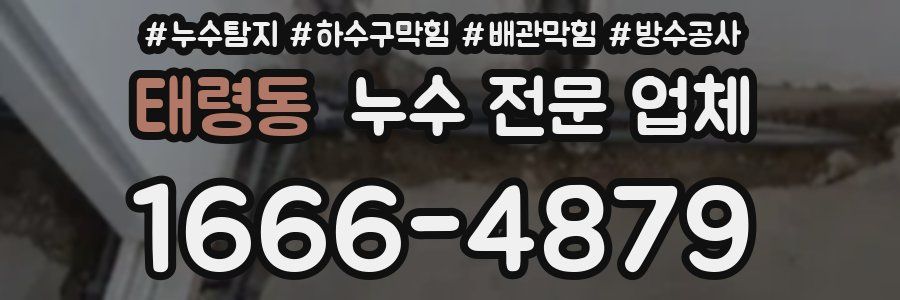 태령동 누수 전문 업체