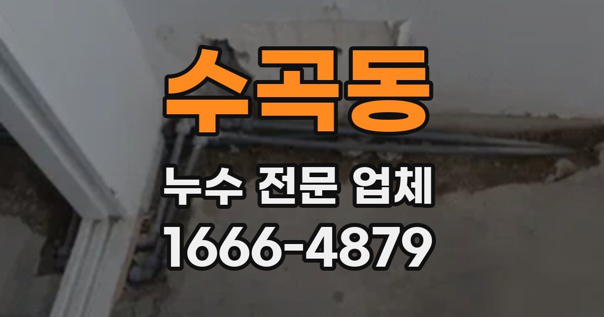 수곡동 누수 전문 업체