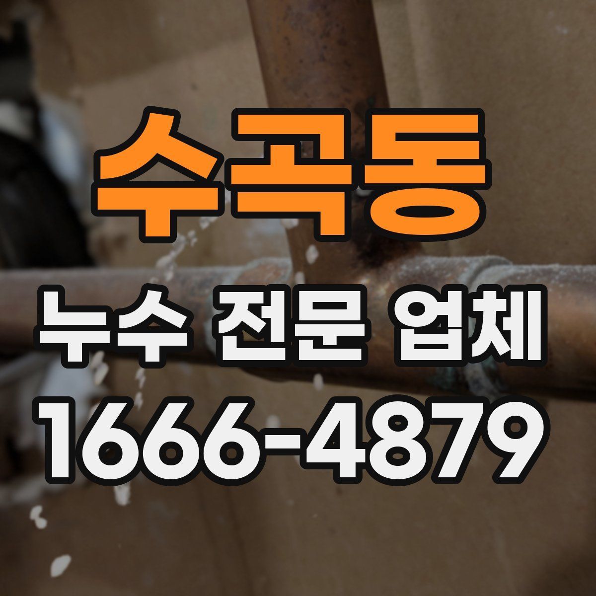 수곡동 누수 전문 업체