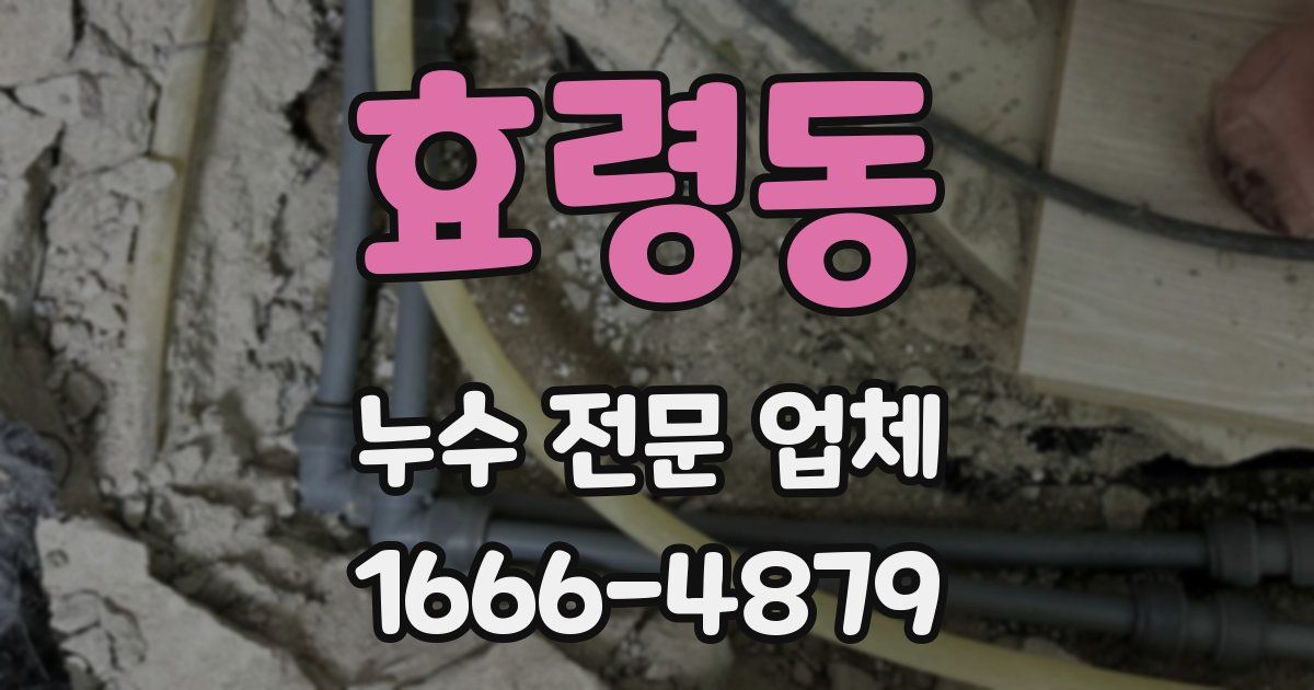 효령동 누수 전문 업체
