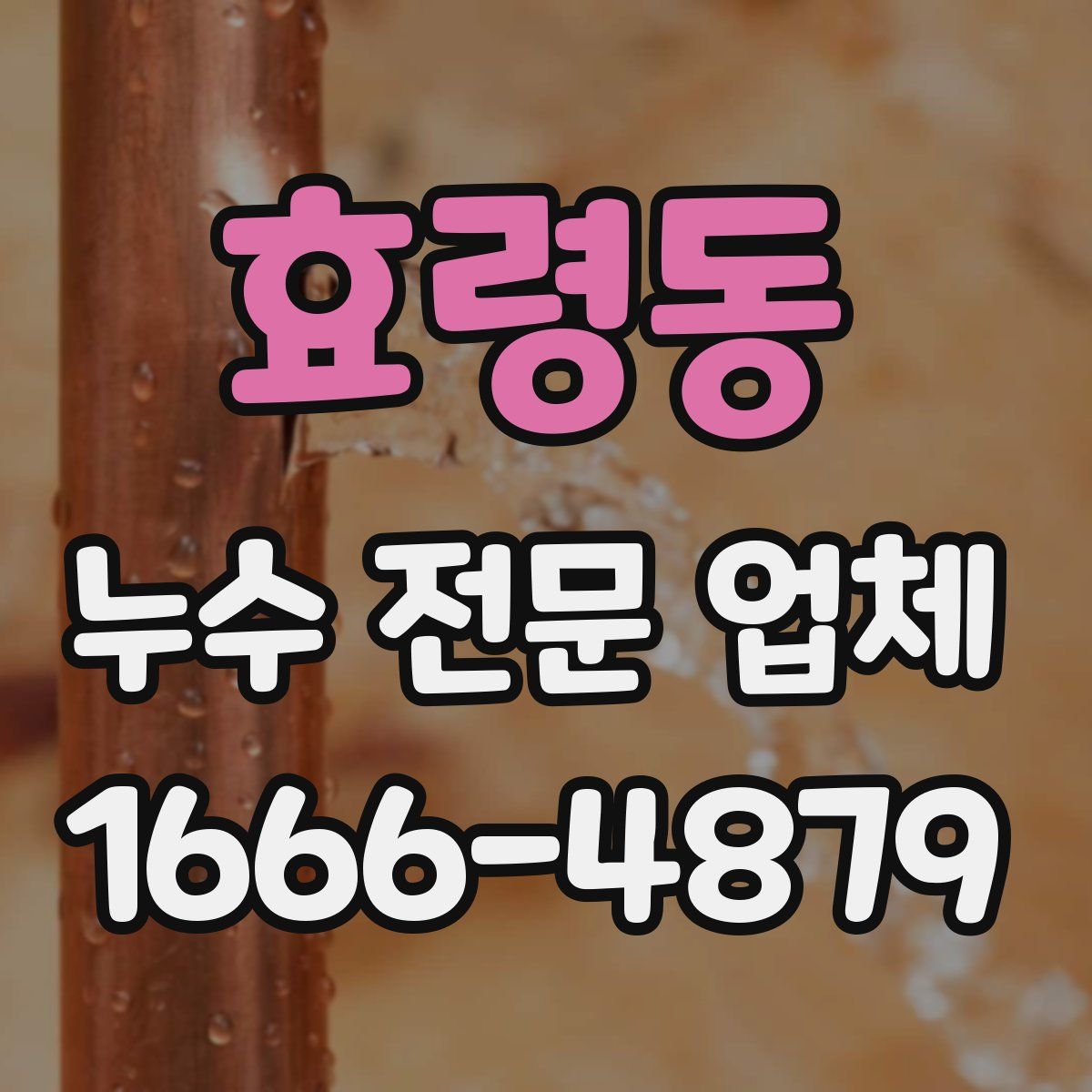 효령동 누수 전문 업체