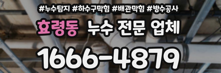 효령동 누수 전문 업체