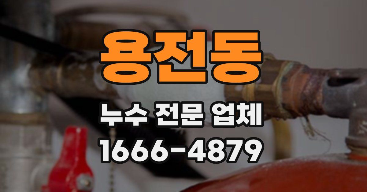 용전동 누수 전문 업체