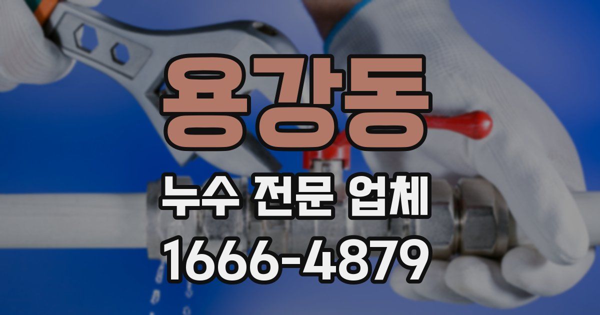 용강동 누수 전문 업체