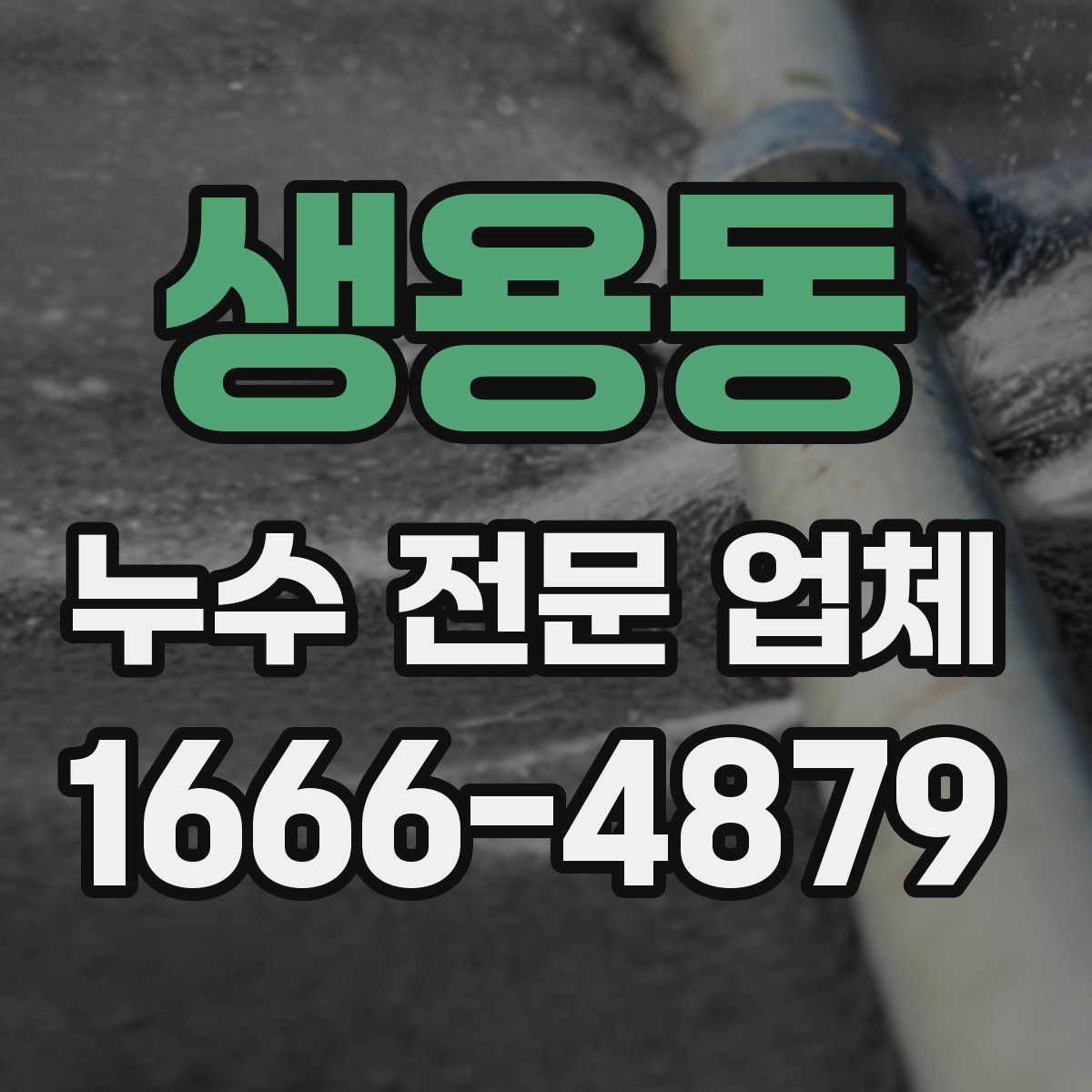 생용동 누수 전문 업체