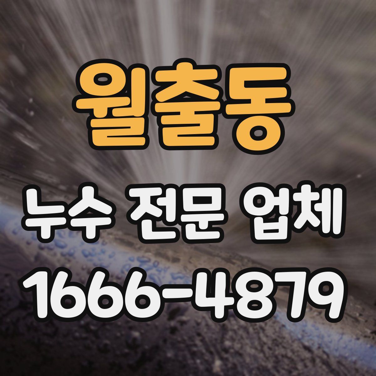 월출동 누수 전문 업체