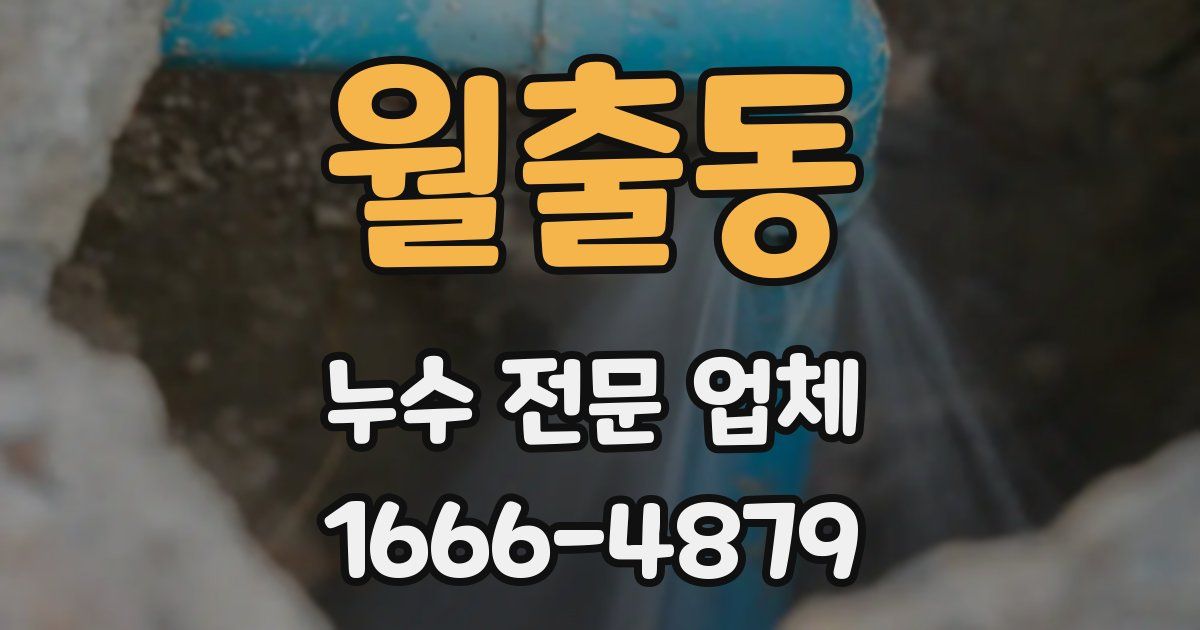 월출동 누수 전문 업체