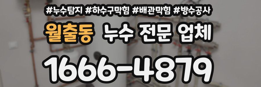 월출동 누수 전문 업체