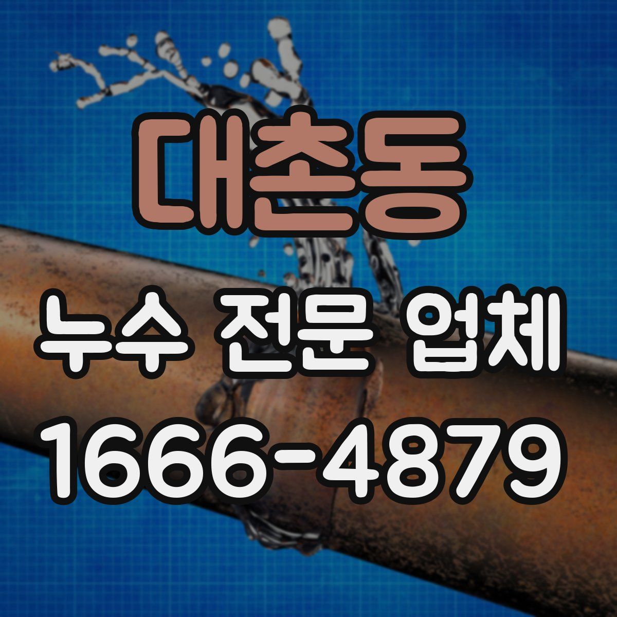 대촌동 누수 전문 업체