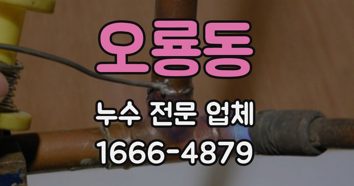오룡동 누수 전문 업체