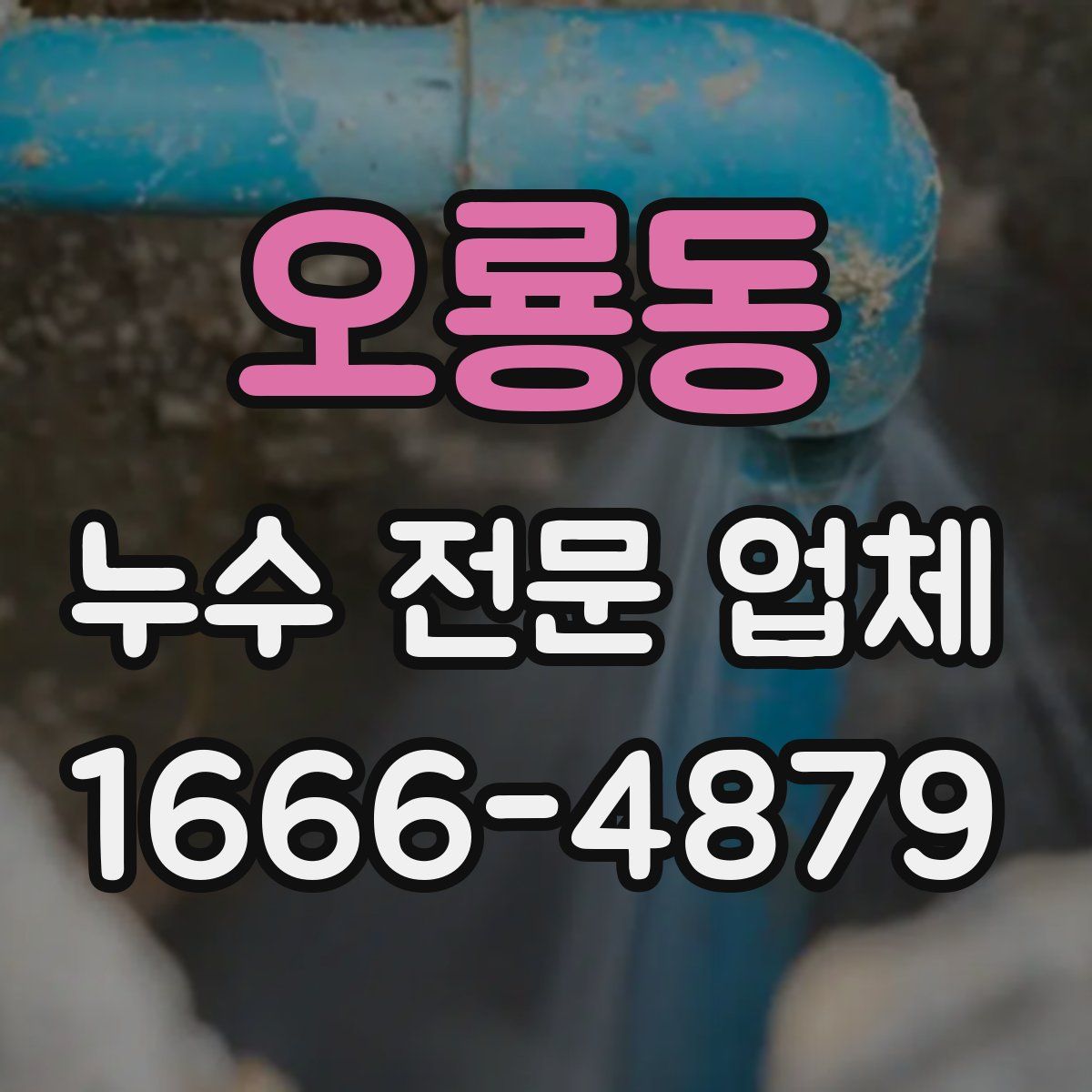 오룡동 누수 전문 업체