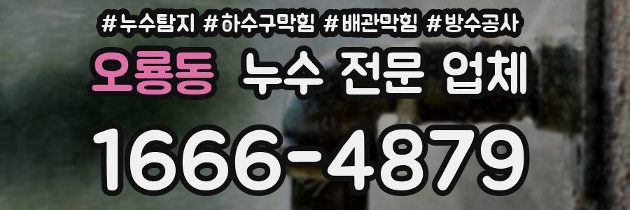 오룡동 누수 전문 업체