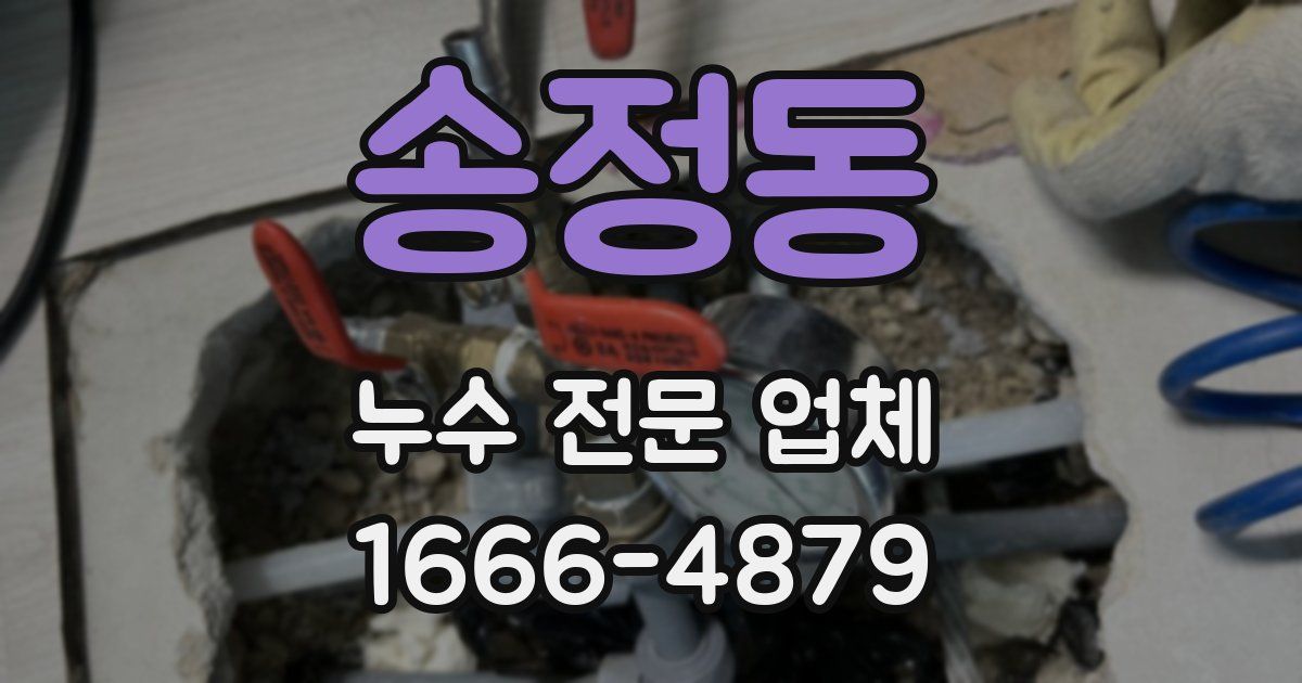 송정동 누수 전문 업체