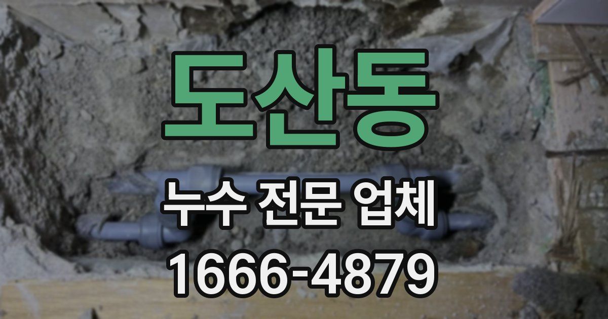 도산동 누수 전문 업체