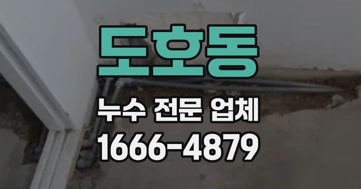 도호동 누수 전문 업체