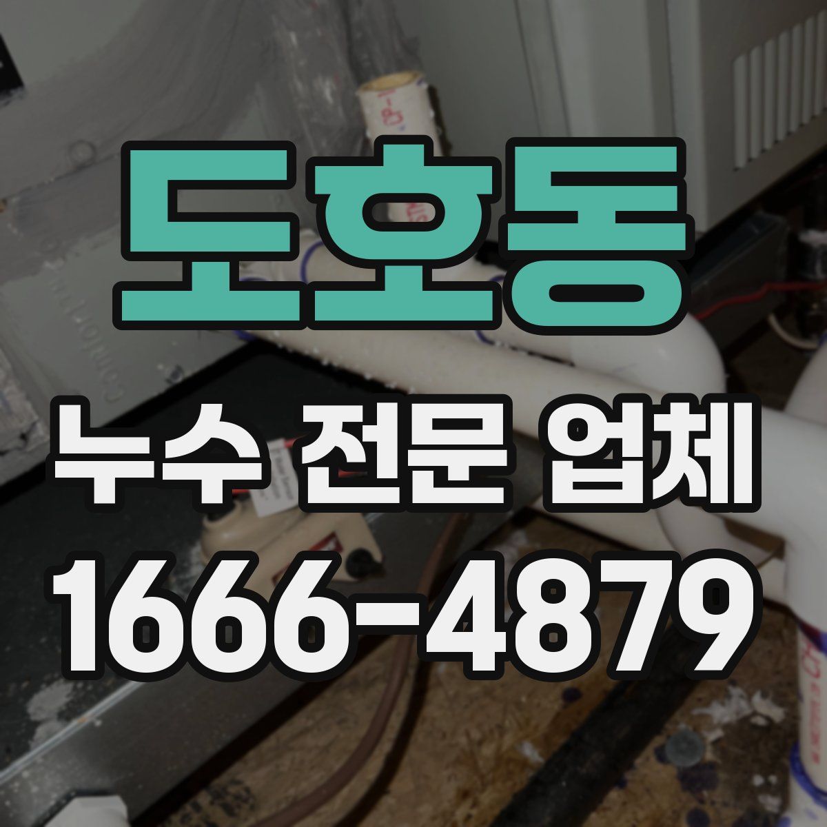 도호동 누수 전문 업체