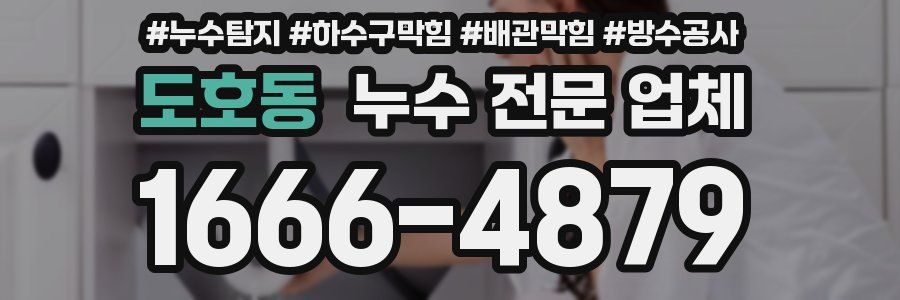 도호동 누수 전문 업체