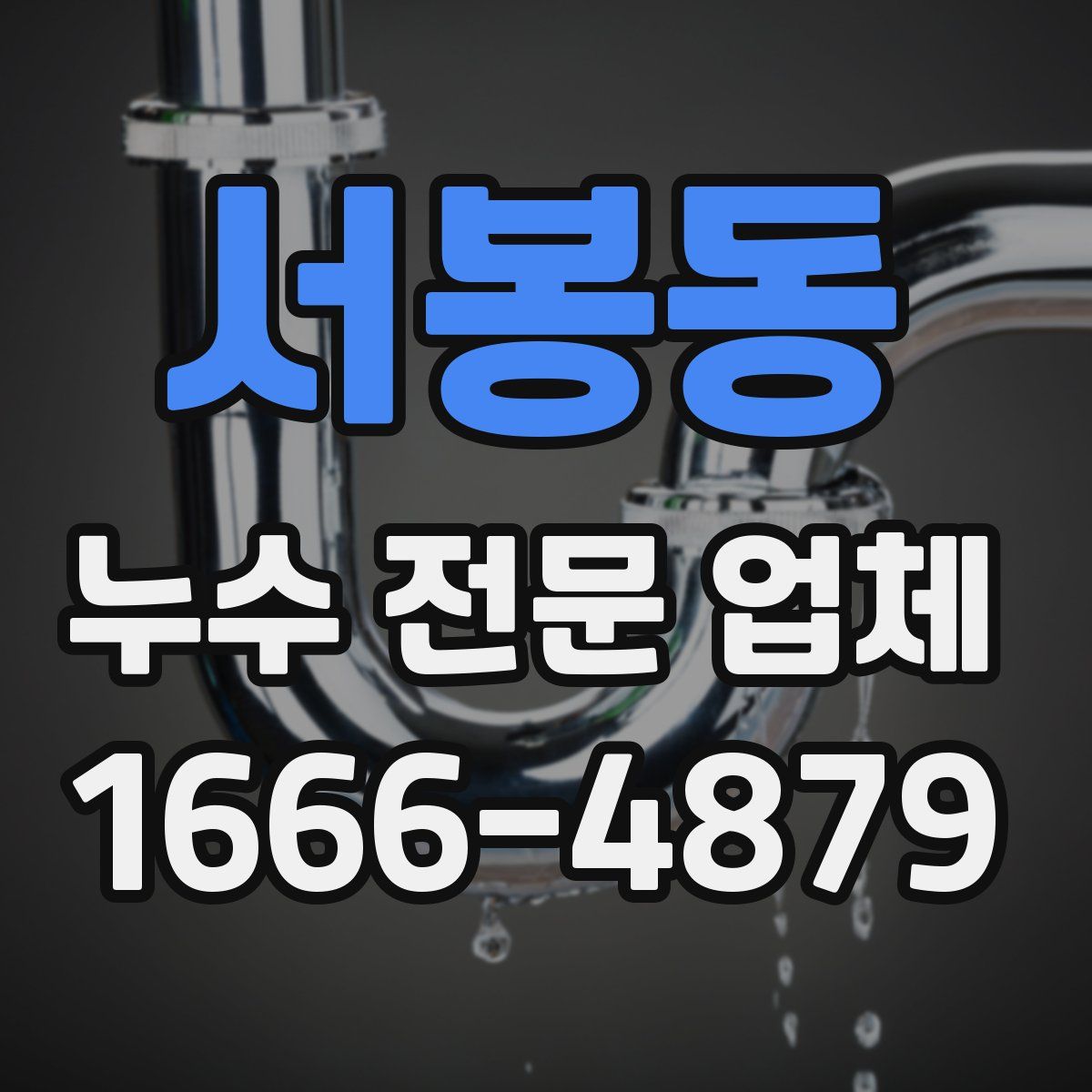 서봉동 누수 전문 업체