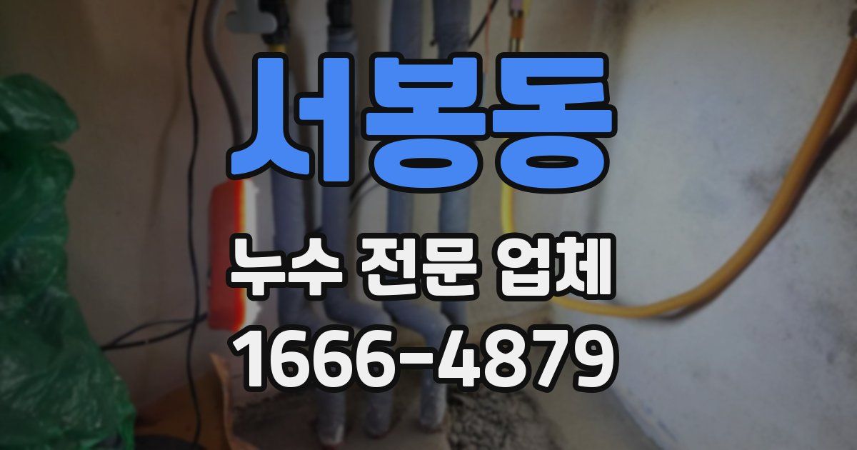 서봉동 누수 전문 업체