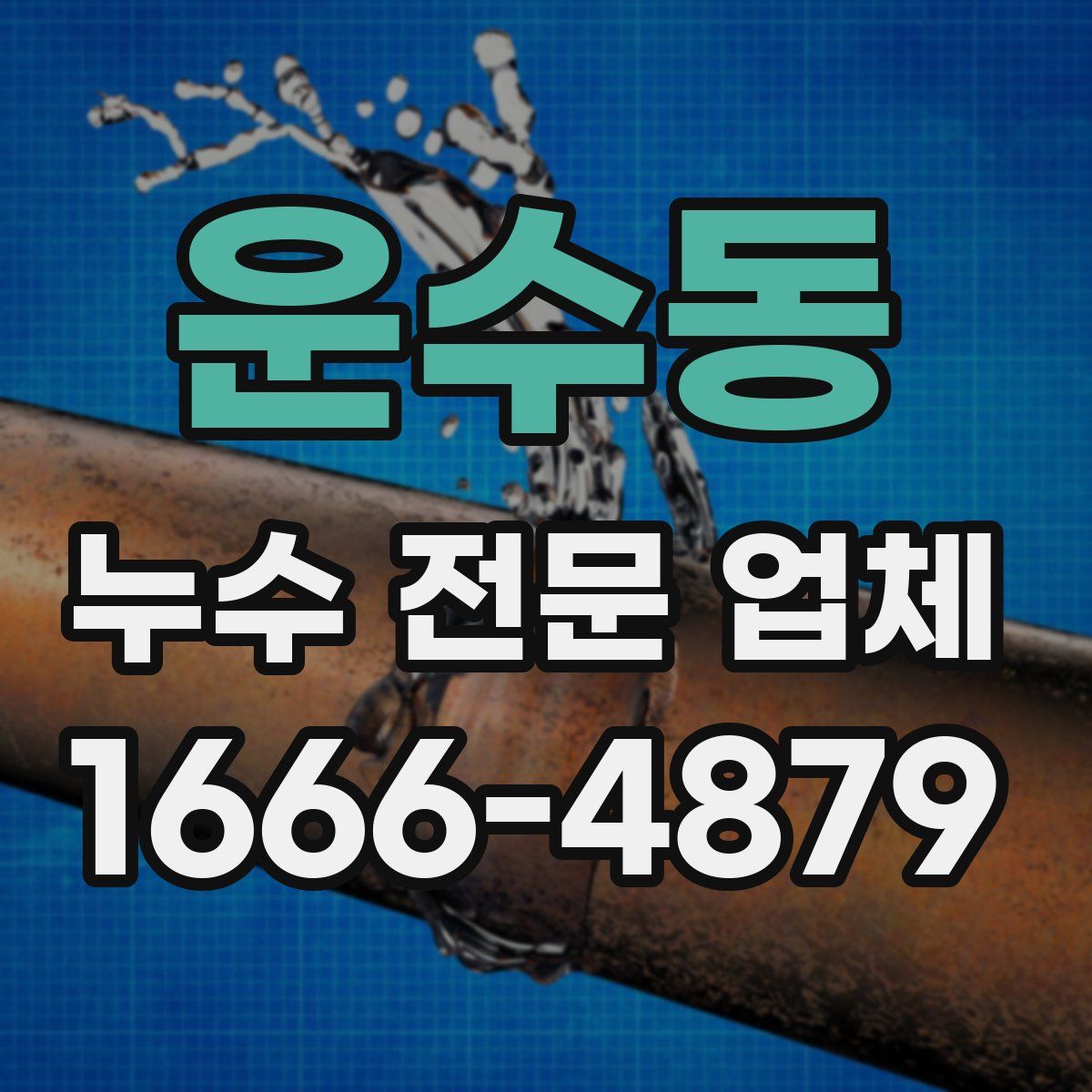 운수동 누수 전문 업체