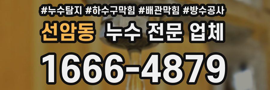 선암동 누수 전문 업체