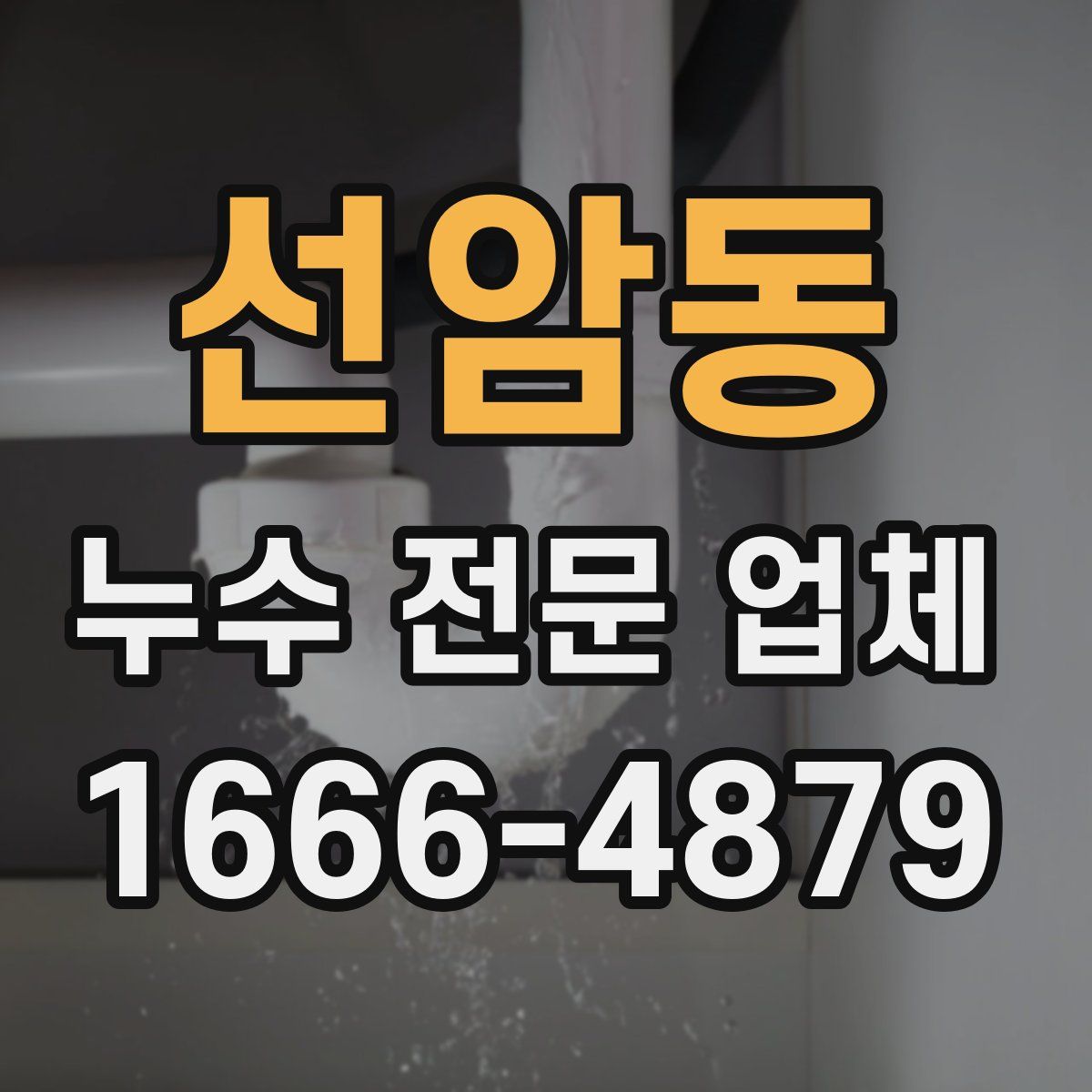 선암동 누수 전문 업체