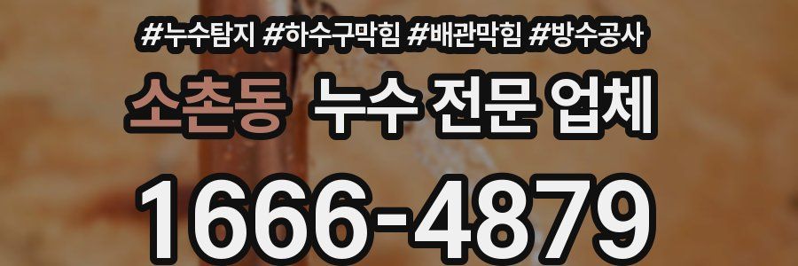 소촌동 누수 전문 업체