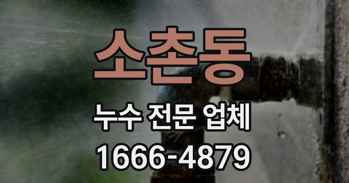 소촌동 누수 전문 업체