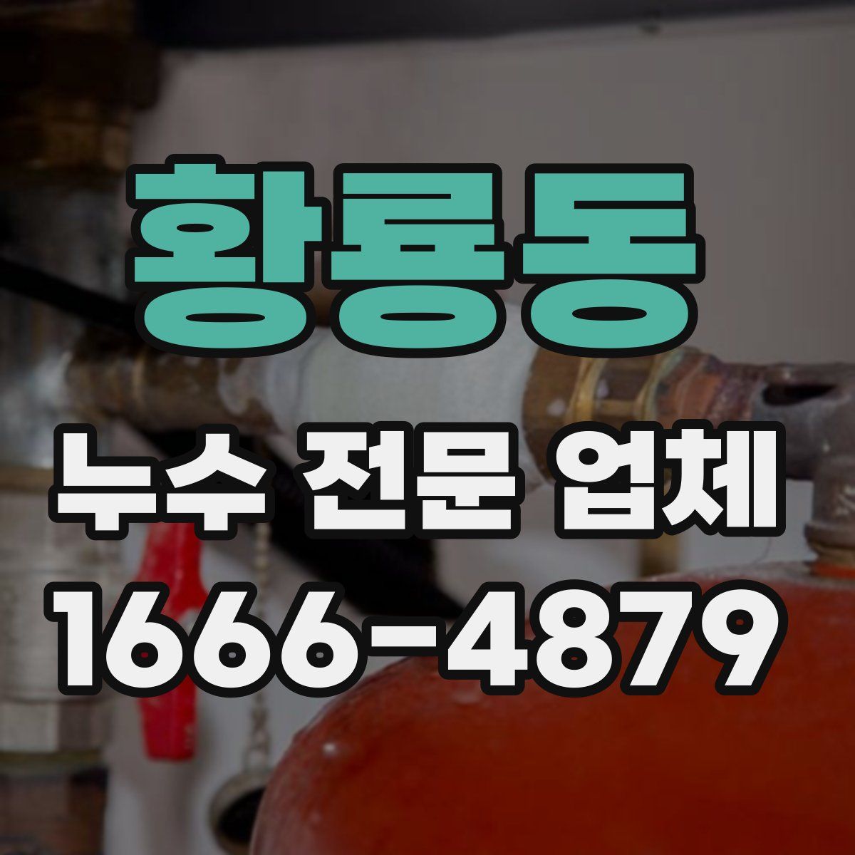 황룡동 누수 전문 업체