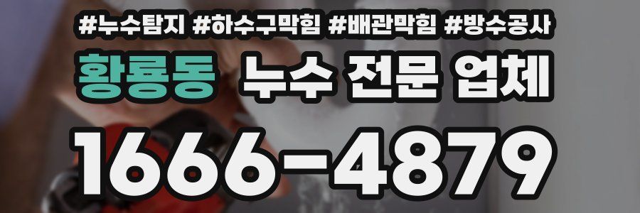 황룡동 누수 전문 업체