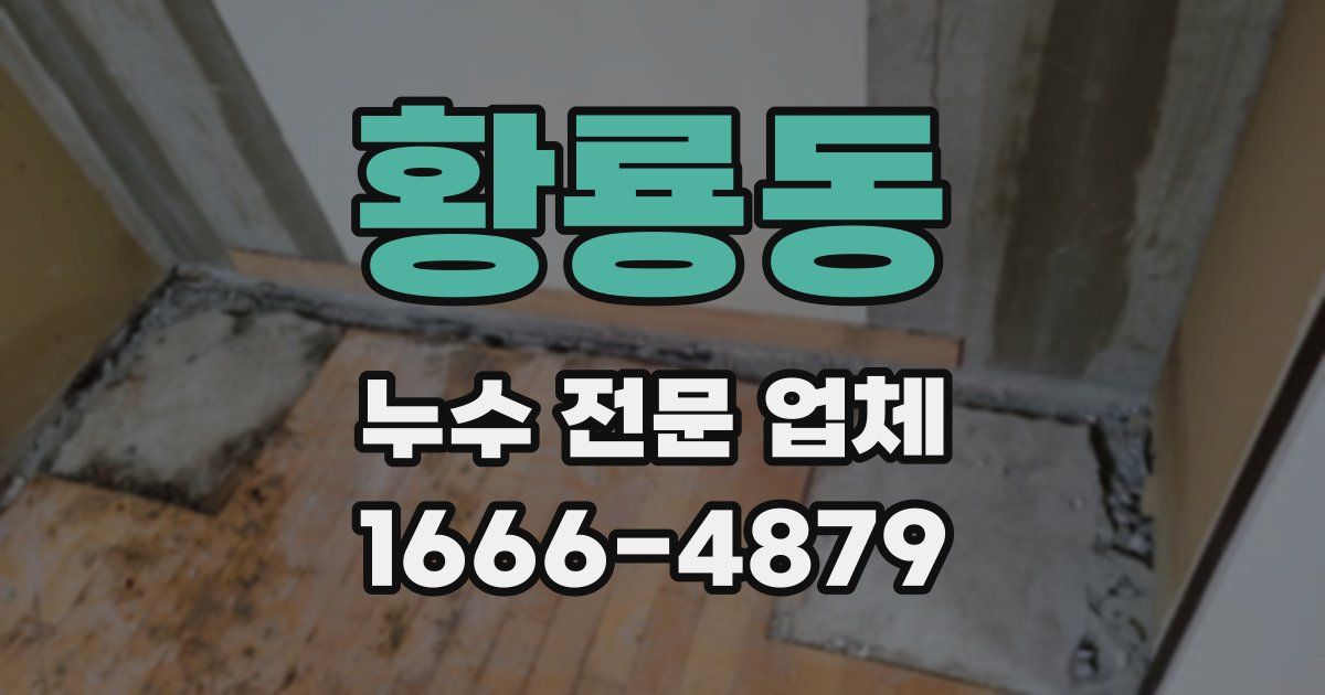 황룡동 누수 전문 업체