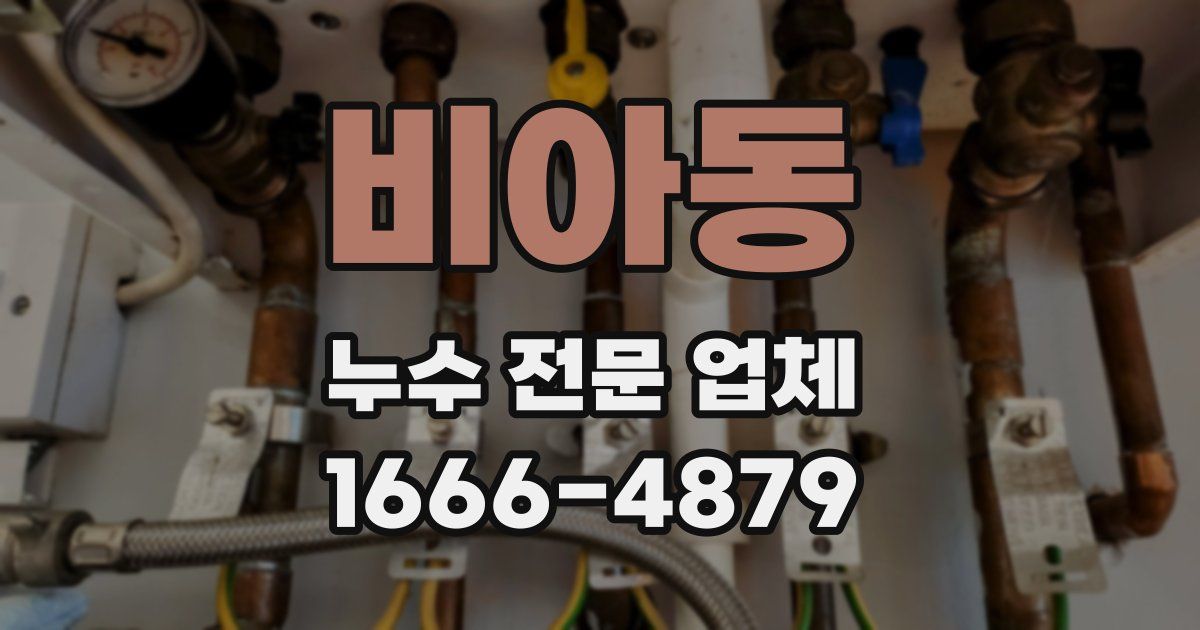 비아동 누수 전문 업체