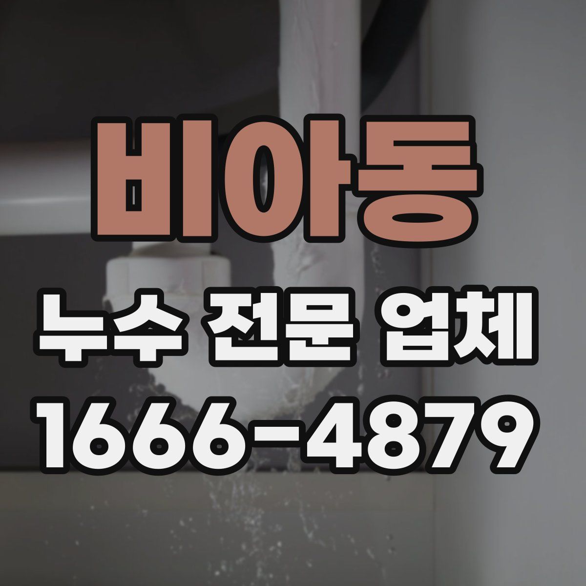 비아동 누수 전문 업체