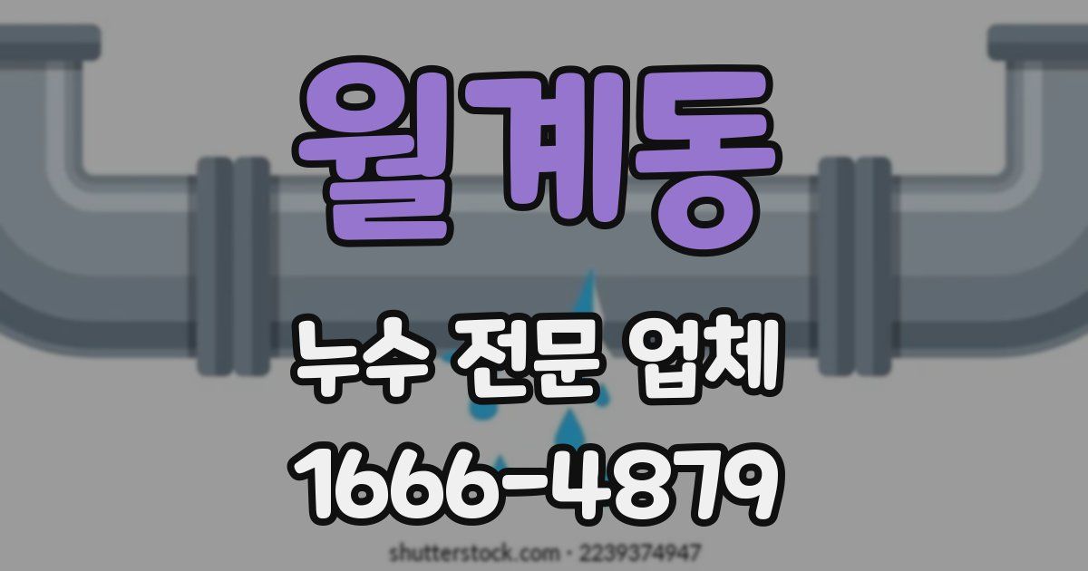 월계동 누수 전문 업체
