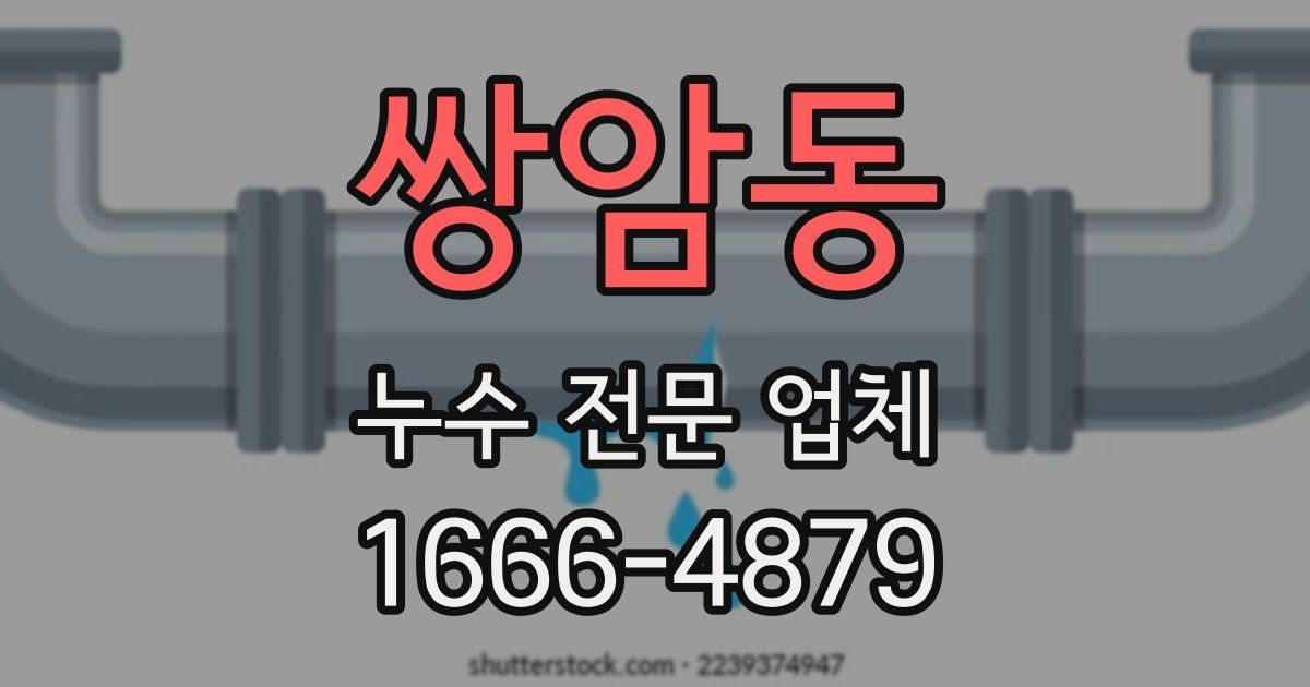 쌍암동 누수 전문 업체