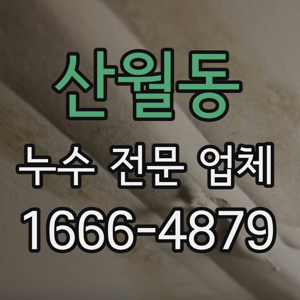 산월동 누수 전문 업체