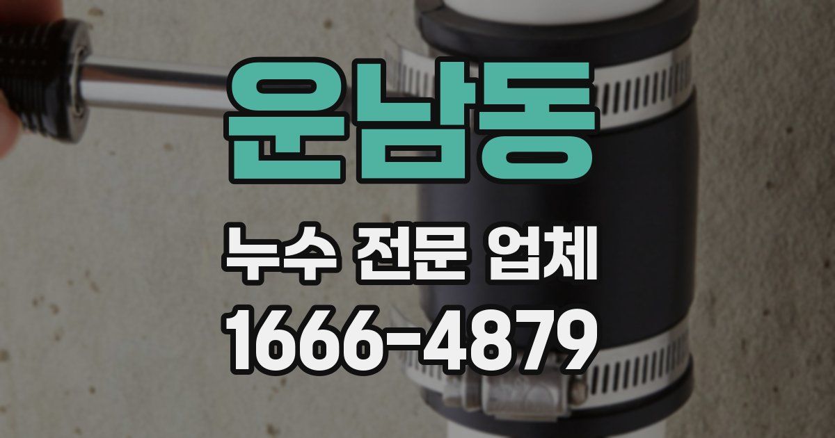 운남동 누수 전문 업체