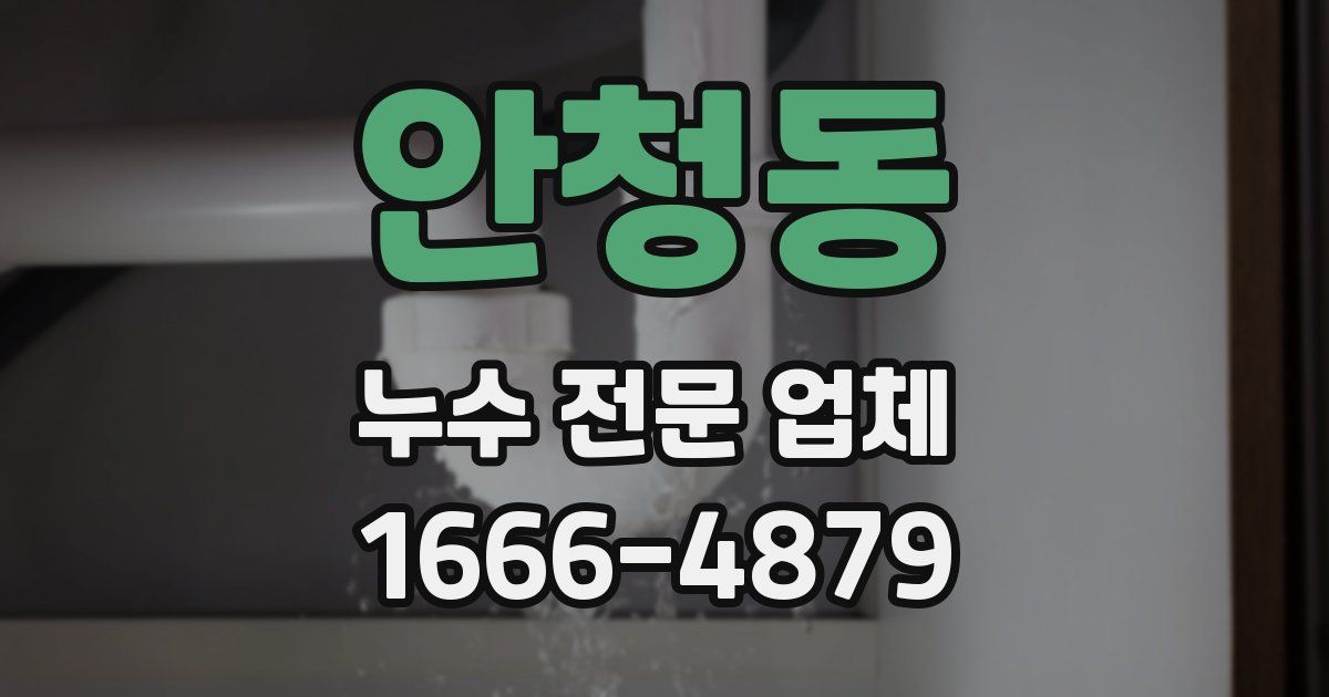 안청동 누수 전문 업체