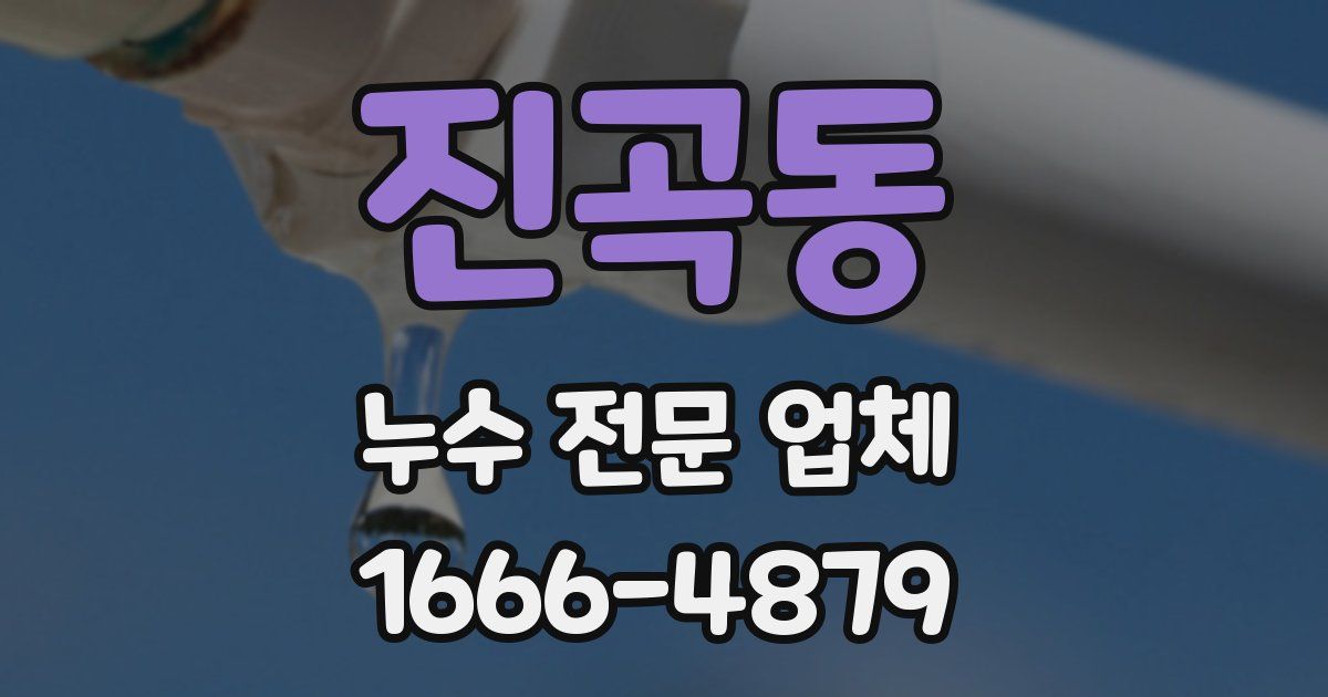 진곡동 누수 전문 업체